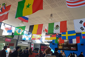 Culture & International category